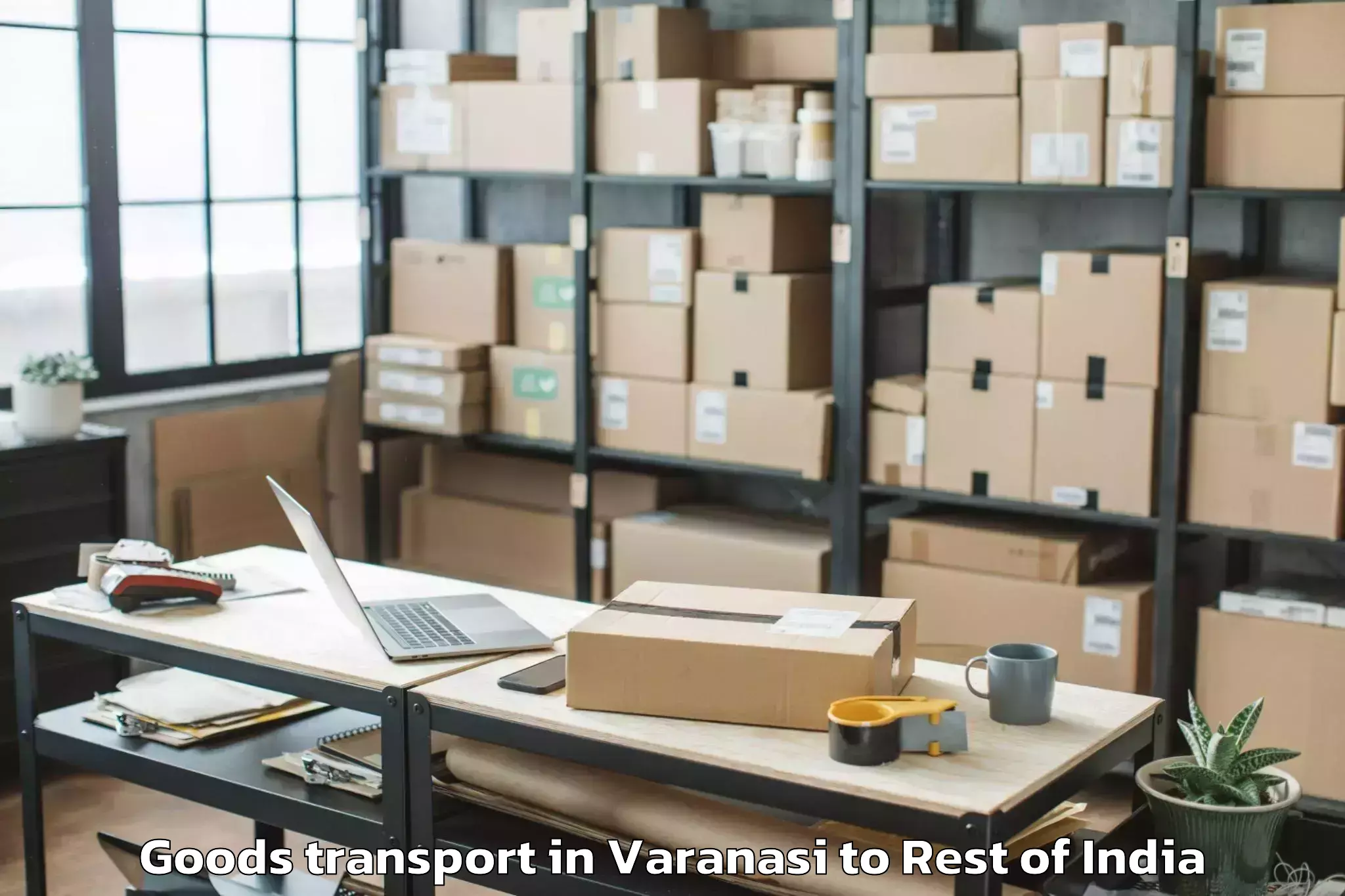 Top Varanasi to Sahibzada Ajit Singh Nagar Goods Transport Available